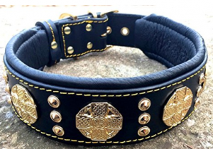 Bestia Maximus Dog Collar for Large Breed Dogs