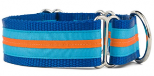 If It Barks Martingale Dog Collar for Large Breed Dogs