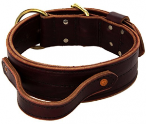 Signature K9 Dog Collar for Large Breed Dogs