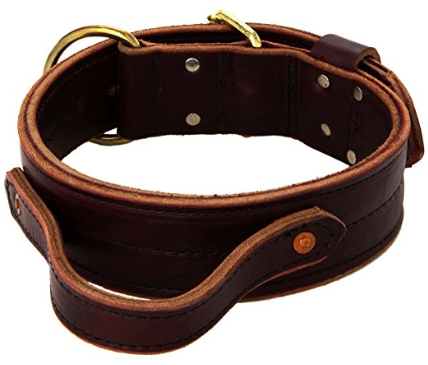 5 Best Collars for Large Breed Dogs - (No Wimpy Stuff Here) - Sporty ...