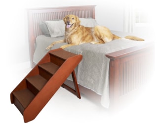 Tall pet stairs outlet for bed