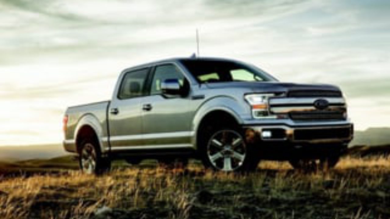 ford f150 dog seat cover