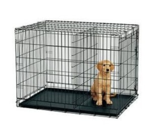 dog crate for boxer