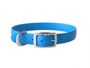 Waterproof Dog Collar for Golden Retriever Bond Pet Buckle