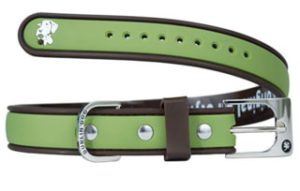 Waterproof Dog Collar for Golden Retriever Dublin Dog