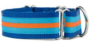Best Martingale Collars For Greyhounds If It Barks