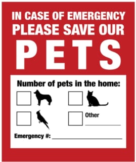 6 Things You Need To Keep Your Dog Safe During A Fire Pet Rescue Sticker