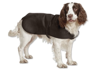 waxed cotton dog coat