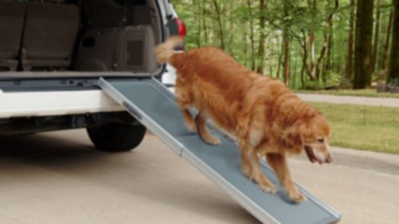 good2go portable pet ramp