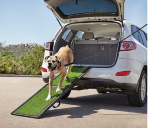 Best Portable Folding Dog Ramps -Good2Go Portable Pet Ramp 