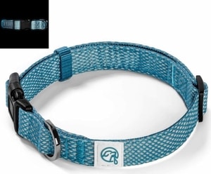 Embark Illuminate Dog Collar