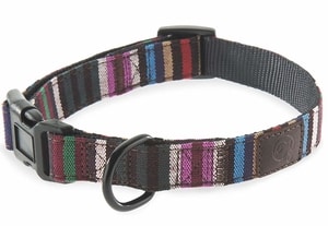 Embark Urban Dog Collar